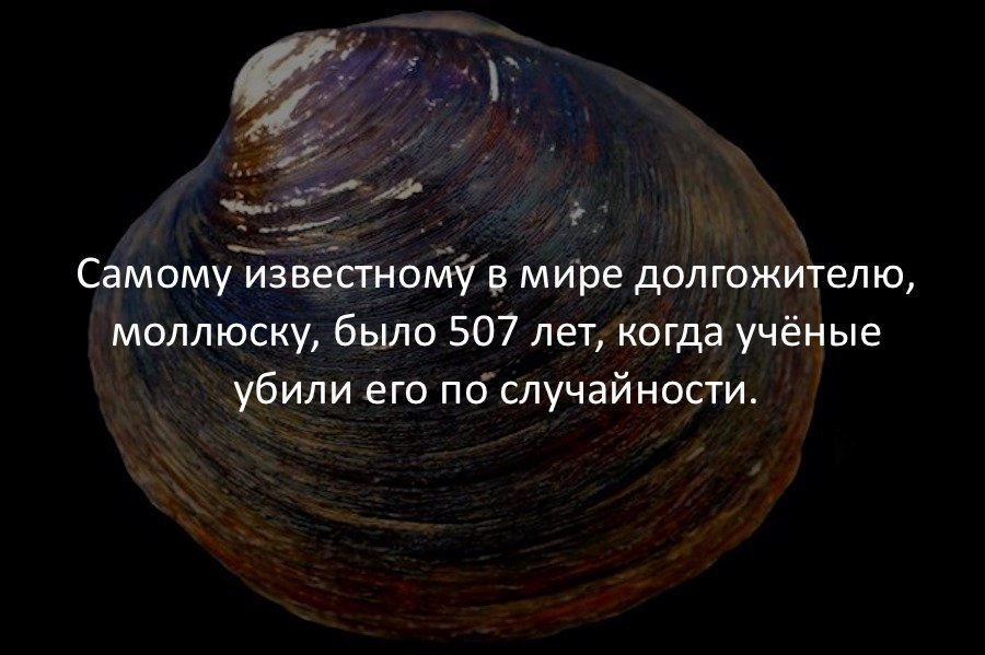   .. - 2  2016  23:02