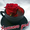 ���� ���������, ������-��-����, 55 ��� - ��������� 21 ������ 2016 � ������ ���� ����������