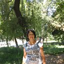 ���� ��������, �������, 85 ��� - ��������� 31 ������� 2016 � ������ ���� ����������