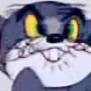 , 19 , 