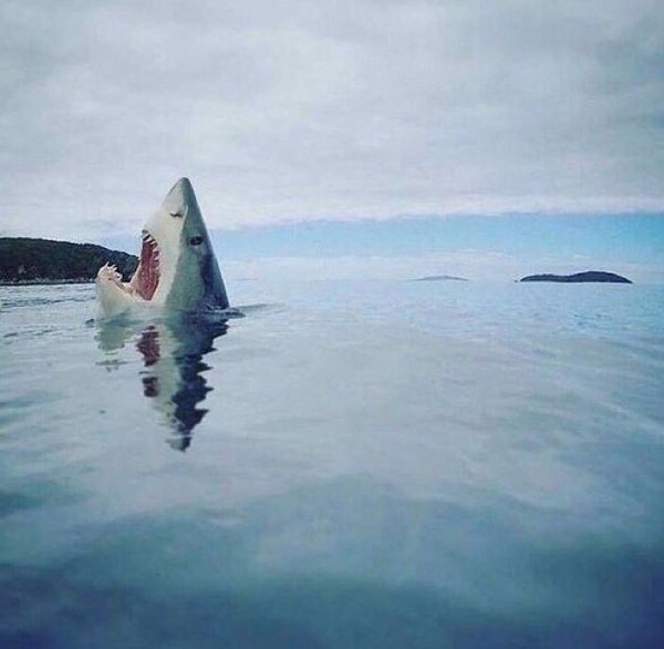  :     
