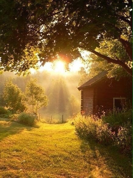 Оглянись вокруг, там столько всего, за что можно быть благодарным. #осень #благодарность #счастье ... - 4