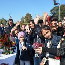  ,  -  14  2016       ̻