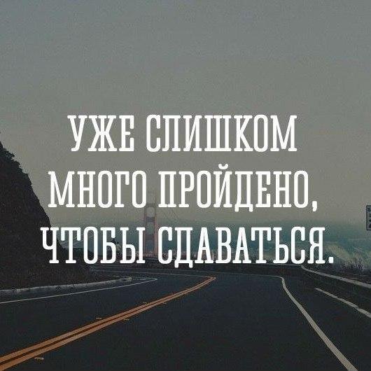 IQ Blog: , , ,  - 7  2017  23:35