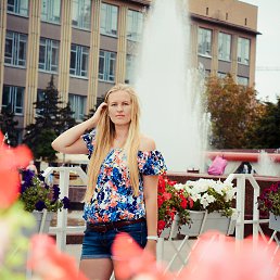 ����, , �������