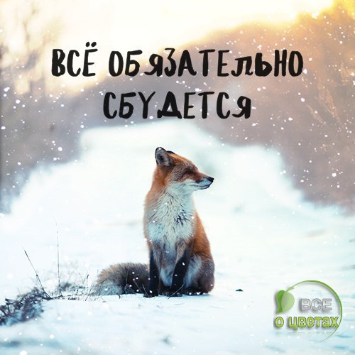 ��� � ������ - 18 ������� 2016 � 16:14