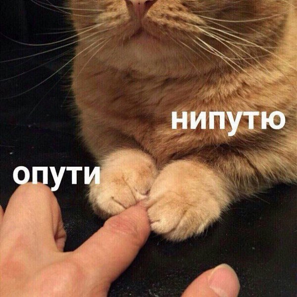    :D - 11  2017  14:07