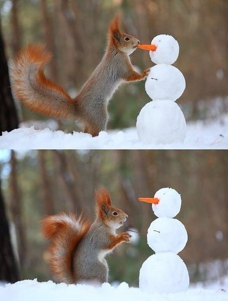    - 5
