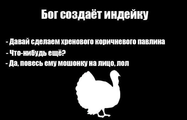 Теории о происхождении видов с точки зрения креационистов: - 4
