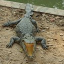  Stranger, , 63  -  29  2016    