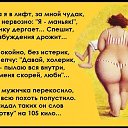 ���� �����, �����-���������, 52 ���� - ��������� 26 �������� 2016 � ������ ��������