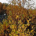 ���� �� ������� ���� ����� ����� ������߻