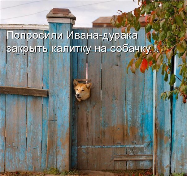  - 11  2016  14:45