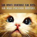 ���� ����, ���������� - ��������� 16 ������� 2016 � ������ ������ ��������