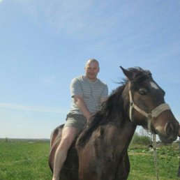 ���� ������, �������, 42 ���� - ��������� 20 ������� 2016