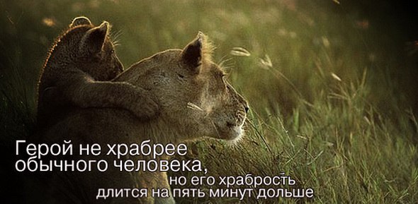 ������� ���� ������������� ����. ����� �� ���� ��������, ������� ����������� ������� � ������, ... - 20