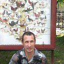      ,  , 50  -  20  2016    