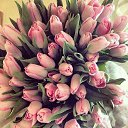 ���� Hojiev, ������, 33 ���� - ��������� 6 ������� 2016 � ������ ���� ����������