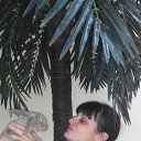 ���� �����, �����������, 42 ���� - ��������� 11 ������� 2016 � ������ ���� ����������