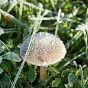 ���� �����, �����, 64 ���� - ��������� 22 ������� 2016 � ������ ������� ���������