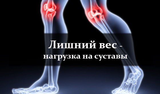 Проблему лишнего веса изучают не только диетологи, но и многие другие медицинские специалисты. Это ...