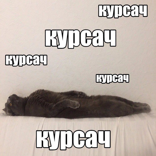    :