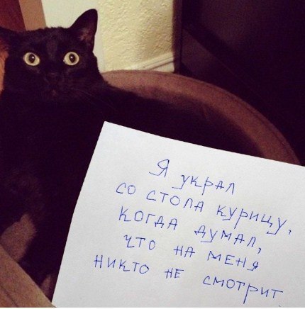    - 5