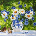 ���� ����, ������-��-����, 58 ��� - ��������� 13 ������� 2016 � ������ ������ ��������