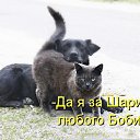  .. .,  -  31  2016     