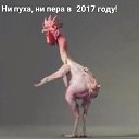  Galina, - -  12  2017    