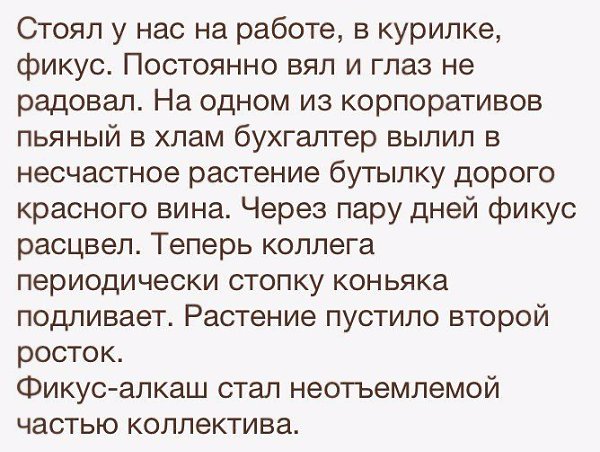     - 24  2016  04:02