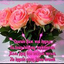  , -, 42  -  15  2017    