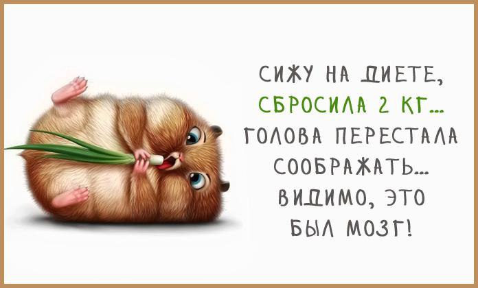  - 17  2016  21:07