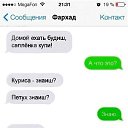 ���� �������, ������, 33 ���� - ��������� 7 ������� 2016 � ������ ������ ��������