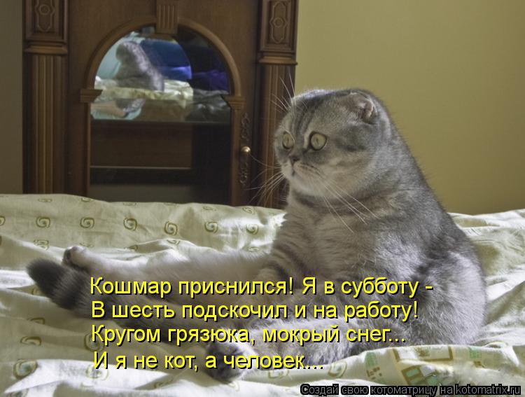  - 20  2016  05:19