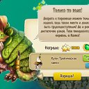 ���� ����,����33, ����� - ��������� 25 ������ 2017 � ������ ����� �� ���� - �������