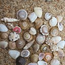 ���� Crazy - Diamond, ������ - ��������� 23 ������ 2017 � ������ ���� ����������