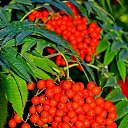 ���� ���������, ������ - ��������� 28 ������ 2016 � ������ �������� ��������