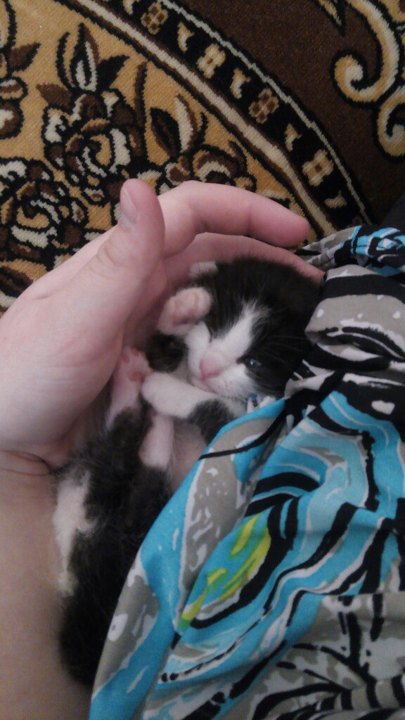 #_.         (,   ...