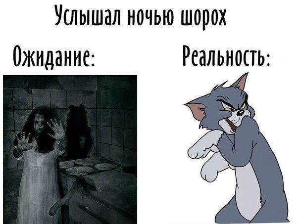 ? ,  ! - 24  2017  21:22