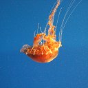 ���� �����, ��������, 48 ��� - ��������� 7 ����� 2017 � ������ ��������� ������� � ������