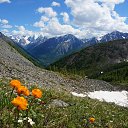  , -, 53  -  7  2016    .