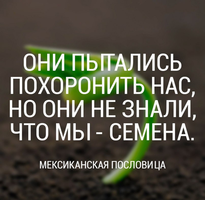 LIFE -  - 22  2016  22:48