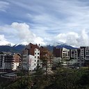 ���� �������, ����� - ��������� 29 �������� 2016 � ������ ������ ��������