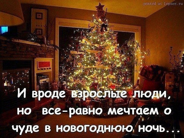 ,   ,    - 17  2016  23:55