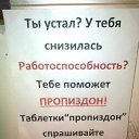 ���� �����, ������������, 54 ���� - ��������� 15 ������ 2017 � ������ ������ ��������