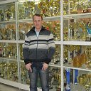 ���� ������, ���������, 51 ��� - ��������� 26 ����� 2017