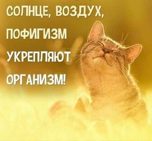  -  - 14  2016  17:21