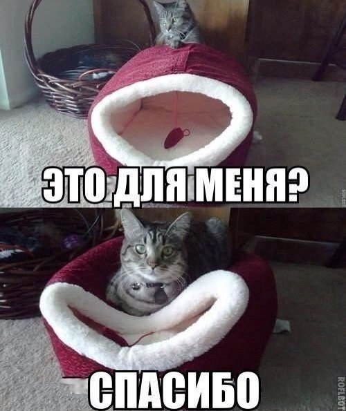  - 7  2017  19:12