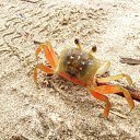 ���� A���������, �������� - ��������� 2 ������ 2017 � ������ ���� ����������